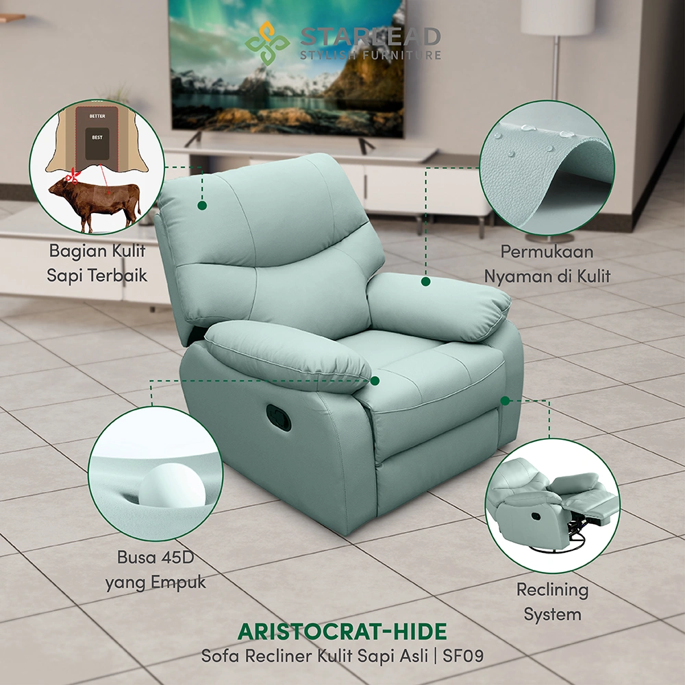 STARLEAD Recliner Sofa - Aristocrat-Hide